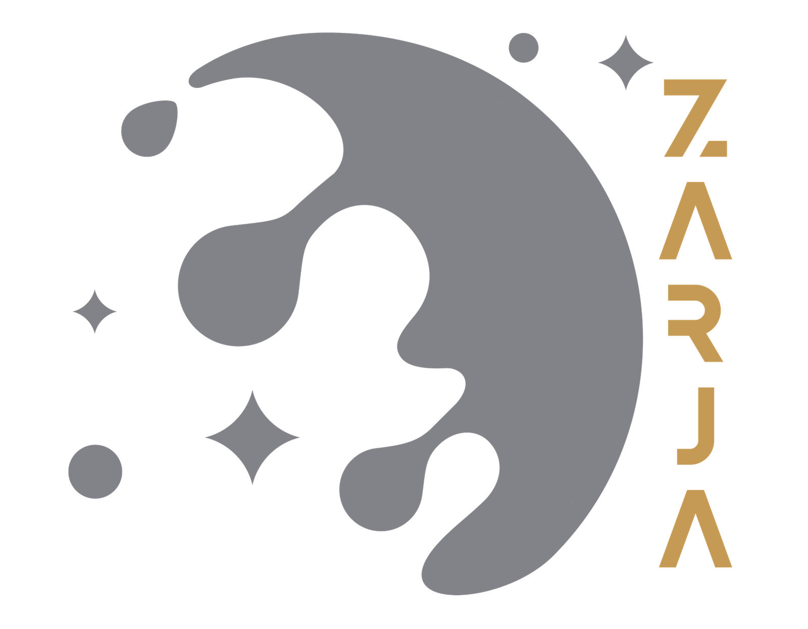 Zarja Dynamic Solutions